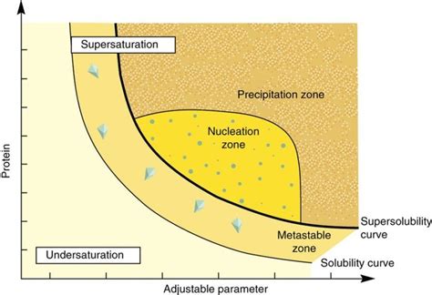 Image result for Protein Crystallization System