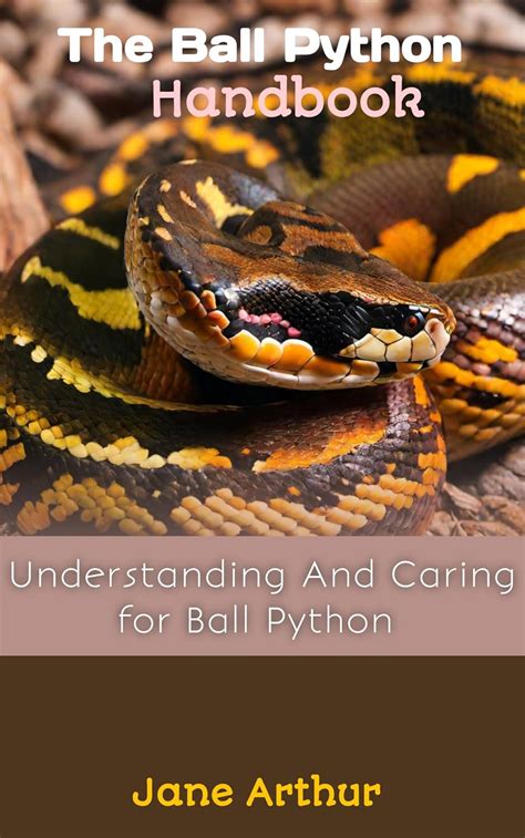 Image result for Caring for Ball Python
