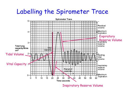 Image result for Academic Tutorial