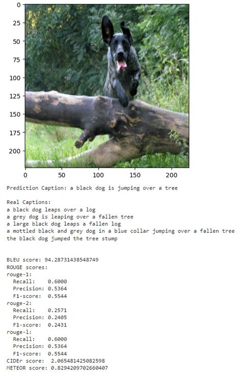 Image result for Image Captioning GitHub Code