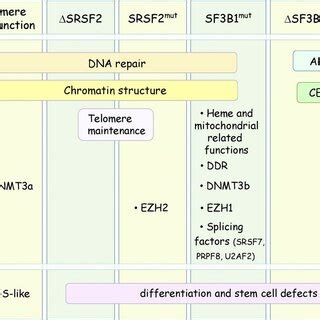Image result for DNA Splicing Machine