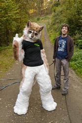 Image result for Java Fur Forge