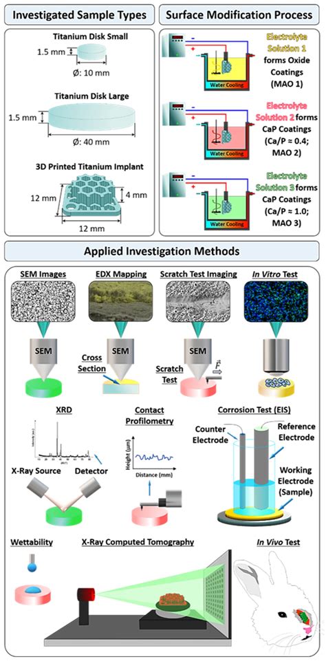 Surface Modification of Additively Fabricated Titanium-Based Implants ...