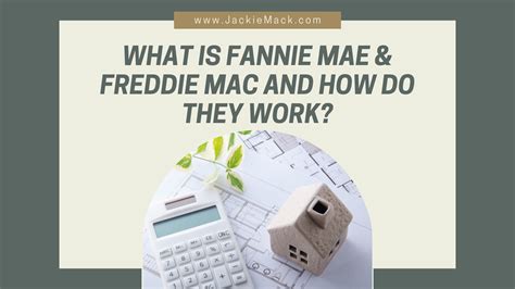 Who Are Freddie Mac And Fannie Mae | Detroit Chinatown