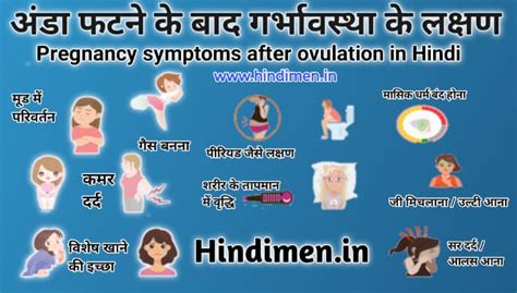 अंडा फटने के बाद गर्भावस्था के लक्षण । Pregnancy symptoms after ...
