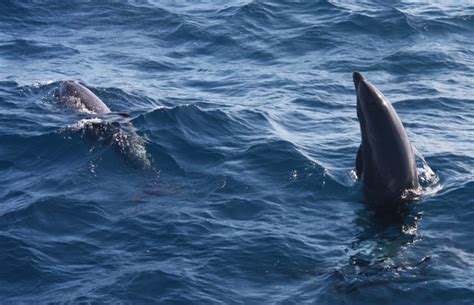 Die Saison 2012 – ein kurzer Rückblick