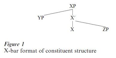 Image result for Principles and Parameters