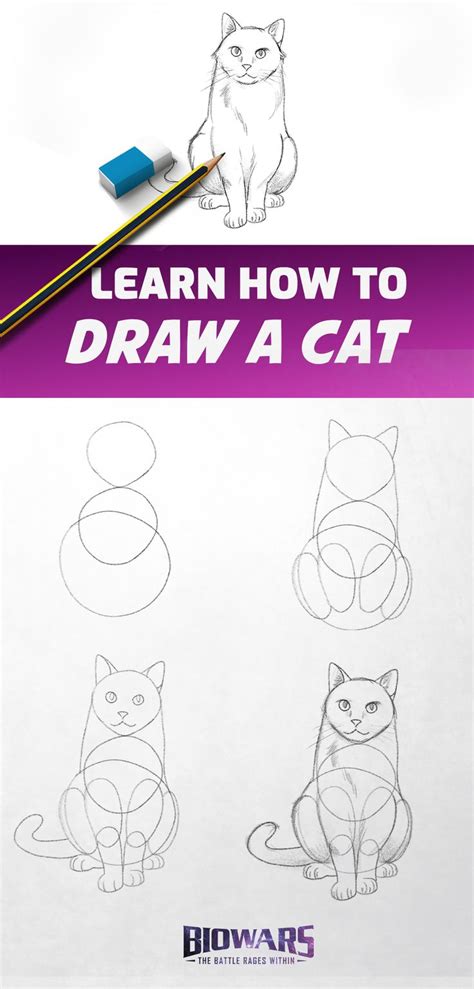 Image result for How to Draw a Cat Tutorial