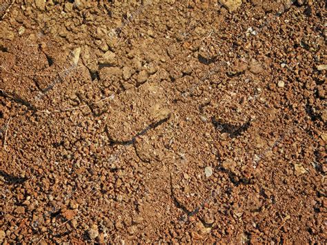 Ground Textrue Map 的图像结果