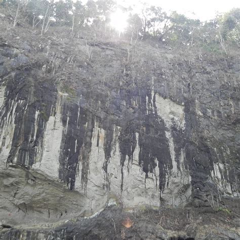 TIGER HERITAGE HOMESTAY DANDELI (Karnataka) - Guesthouse Reviews ...