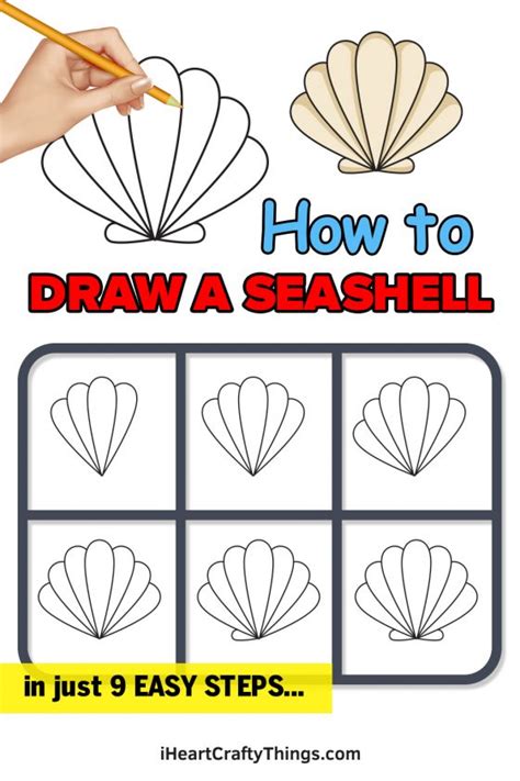 Seashell Drawing Tutorial 的图像结果