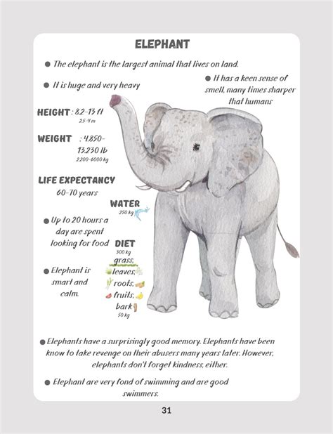Facts about elephants for kids – Artofit