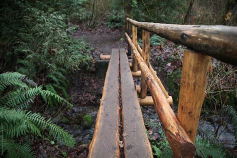 Image result for Homemade Log Bridge