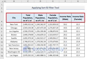 Image result for Using Demographic Data