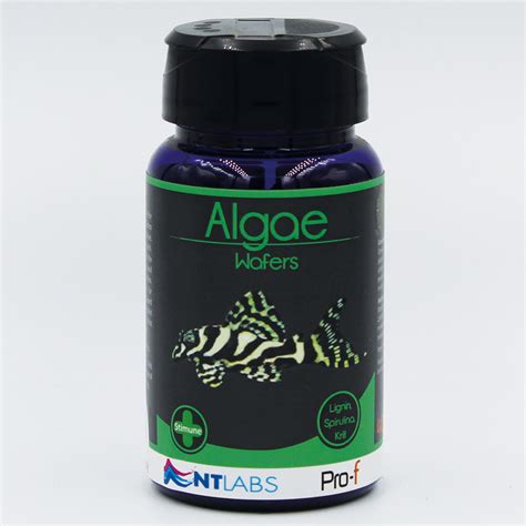 NT Algae Wafers 40g - The Aquarium People