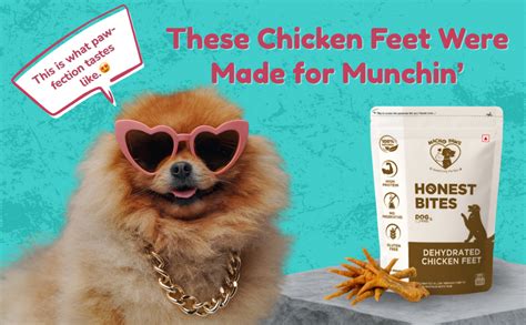 Buy MachoPaws Honest Bites Natural Chews Dehydrated Chicken Feet Dog ...
