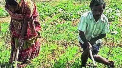 Disabled Man, Mentally Ill Wife Earn A Living By Growing Veggies In ...