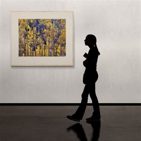 Christopher Burkett | Telluride Aspens - Photography West