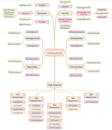 Antibiotic class chart and drug name list pharmacology mnemonic – Artofit