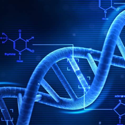 Life Science Research Products | PCR Reagents, Elisa Kits, Antibodies ...