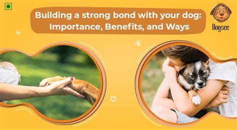 Building a Strong Bond with your Dog | Dogsee