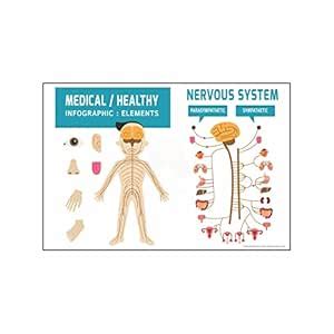 Anne Print Solutions® Medical Health infographics Vinyl Sticker ...