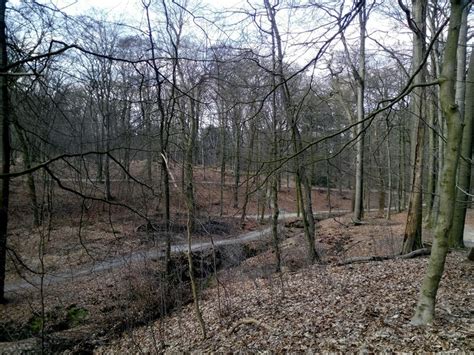 Bas Langereis leest u voor! » 2016 » maart