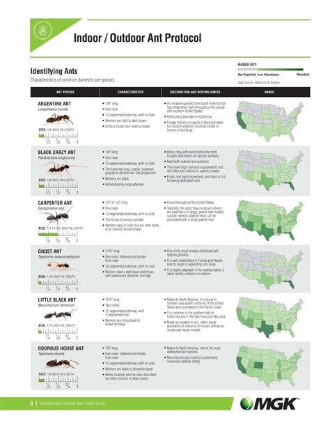 30+ Free Printable Ant Identification Charts [PDF]