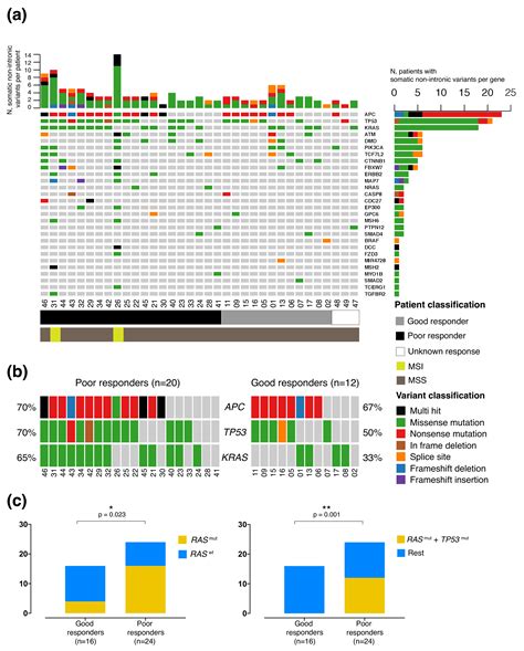 Pre-Existing Tumoral B Cell Infiltration and Impaired Genome ...