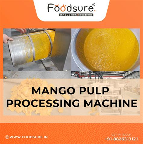 Mango Pulp Process 的图像结果