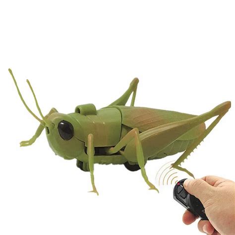 Remote Control Grass Hopper Animal Insect Toys – DOD Kart