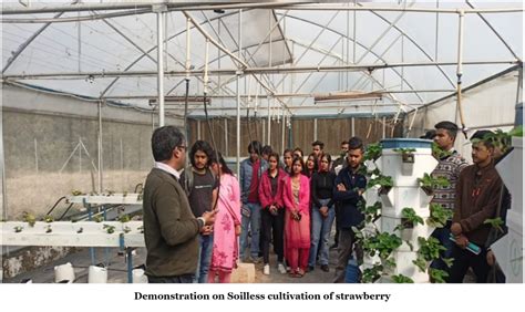 Dr YS Parmar University of Horticulture & Forestry