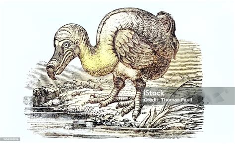 Extinction 的图像结果