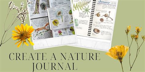 Nature Journal 的图像结果