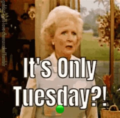 Funny Happy Tuesday GIFs | GIFDB.com