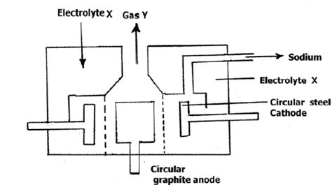Downs Cell Diagram 的图像结果