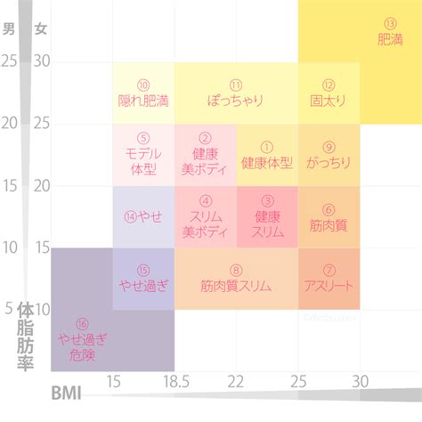 bmi女性計算 女性BMI計算器 – CHCHL