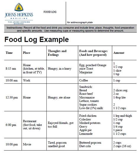Image result for Food Log Example