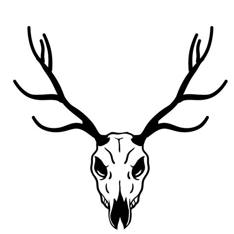 Deer Skull Antler Drawing