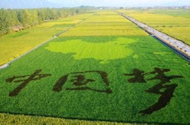 “互联网+”优秀案例：发展农业智能装备 推动现代农业发展——北京农业智能装备技术研究中心