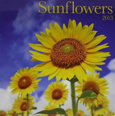 Buy Sunflowers 2013 Calendar Book Online at Low Prices in India ...