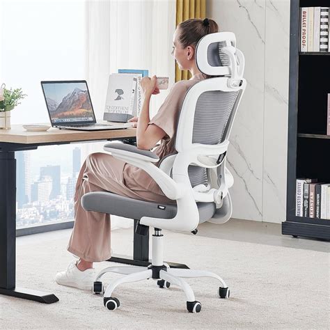 DROGO Premium Ergonomic Office Chair for Work from Home, High Back ...