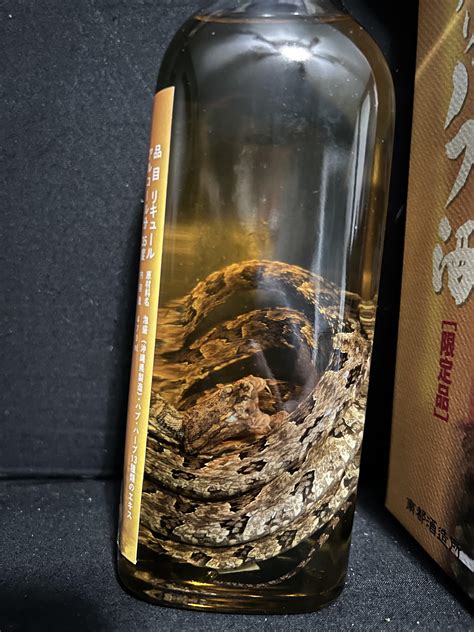 Japanese Sake With Snake