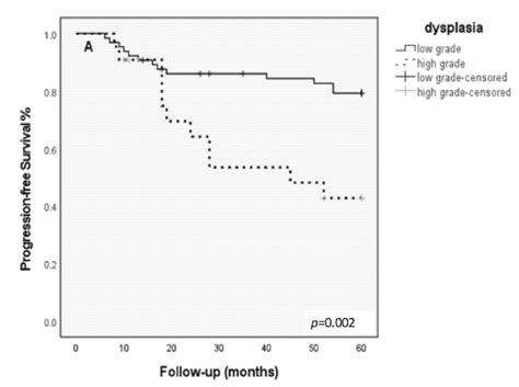 Evaluation Criteria for Chromosome Instability Detection by FISH to ...