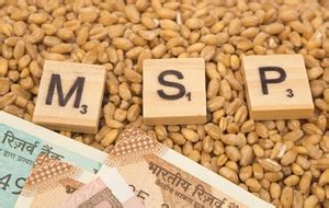 4% DA hike announcement, MSP raise in six Rabi crops likely by Union ...