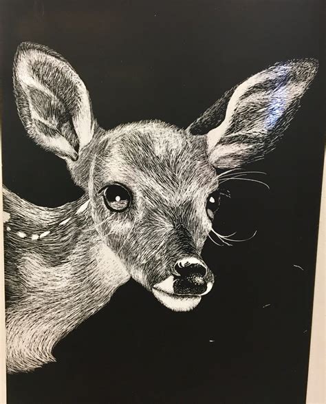 Easy Scratch Art Animals