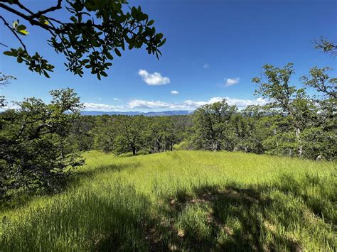 4.3 acres in Tehama County, California