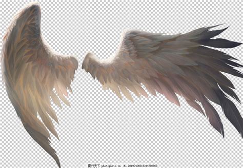 翅膀动图素材蝴蝶煽动翅膀动图2022已更新今日图集