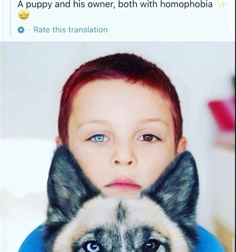 78 Jayden's memes ideas | memes, funny memes, really funny