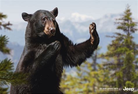 Humorous Advertisements 的图像结果